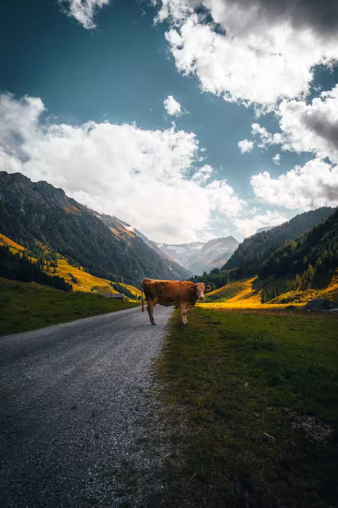 Photo of Zillertal