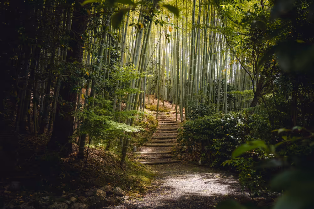Photo of Kyoto